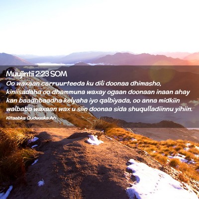 Picture 02 - Muujintii 2:23 SOM - Oo waxaan carruurteeda ku dili doonaa dhimasho, - Bible Verse Picture