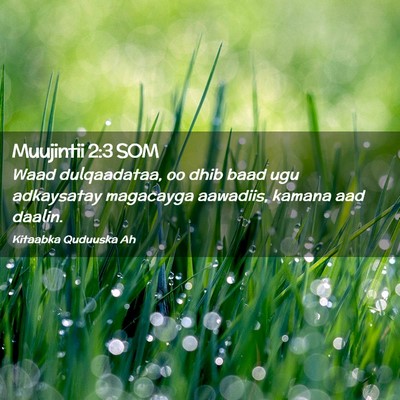 Picture 02 - Muujintii 2:3 SOM - Waad dulqaadataa, oo dhib baad ugu adkaysatay - Bible Verse Picture