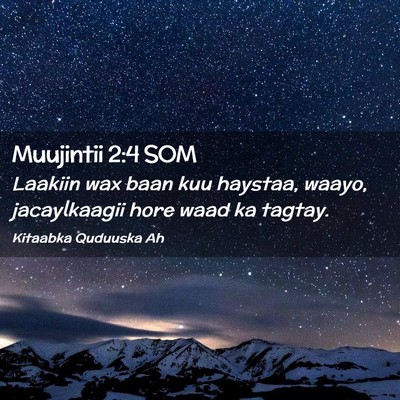 Picture 02 - Muujintii 2:4 SOM - Laakiin wax baan kuu haystaa, waayo, jacaylkaagii - Bible Verse Picture