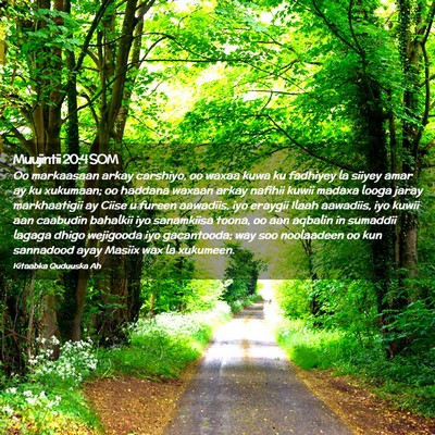 Picture 02 - Muujintii 20:4 SOM - Oo markaasaan arkay carshiyo, oo waxaa kuwa ku - Bible Verse Picture