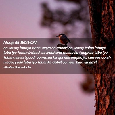 Picture 02 - Muujintii 21:12 SOM - oo waxay lahayd derbi weyn oo dheer; oo waxay - Bible Verse Picture