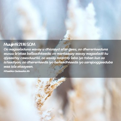 Picture 02 - Muujintii 21:16 SOM - Oo magaaladuna waxay u dhisnayd afar gees, oo - Bible Verse Picture