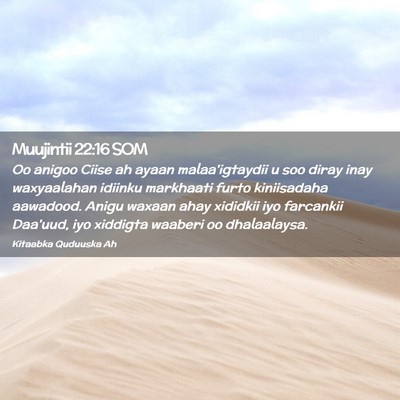 Picture 02 - Muujintii 22:16 SOM - Oo anigoo Ciise ah ayaan malaa'igtaydii u soo - Bible Verse Picture