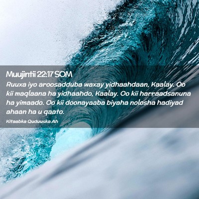 Picture 02 - Muujintii 22:17 SOM - Ruuxa iyo aroosadduba waxay yidhaahdaan, Kaalay. - Bible Verse Picture