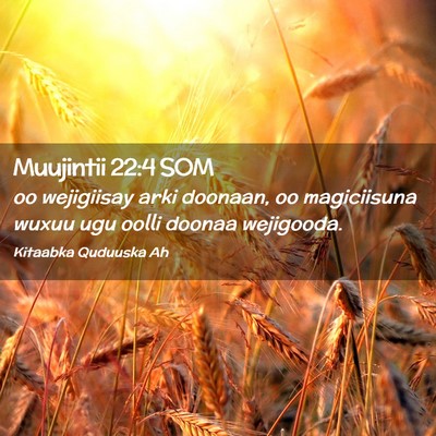 Picture 02 - Muujintii 22:4 SOM - oo wejigiisay arki doonaan, oo magiciisuna wuxuu - Bible Verse Picture