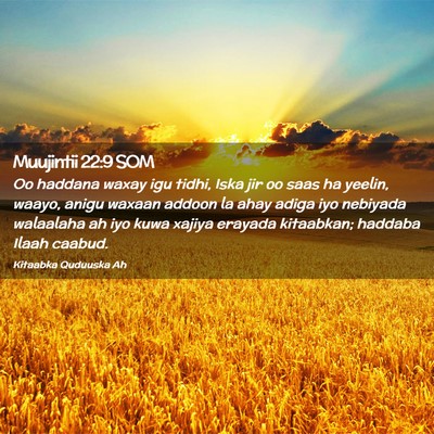 Picture 02 - Muujintii 22:9 SOM - Oo haddana waxay igu tidhi, Iska jir oo saas ha - Bible Verse Picture