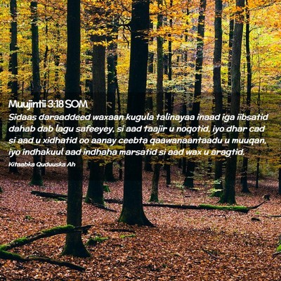 Picture 02 - Muujintii 3:18 SOM - Sidaas daraaddeed waxaan kugula talinayaa inaad - Bible Verse Picture