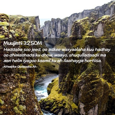 Picture 02 - Muujintii 3:2 SOM - Haddaba soo jeed, oo adkee waxyaalaha kuu hadhay - Bible Verse Picture