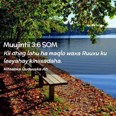 Picture 02 - Muujintii 3:6 SOM - Kii dheg lahu ha maqlo waxa Ruuxu ku leeyahay - Bible Verse Picture