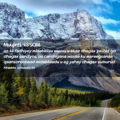 Picture 02 - Muujintii 4:3 SOM - oo kii fadhiyey midabkiisu wuxuu u ekaa dhagax - Bible Verse Picture
