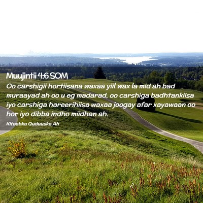 Picture 02 - Muujintii 4:6 SOM - Oo carshigii hortiisana waxaa yiil wax la mid ah - Bible Verse Picture