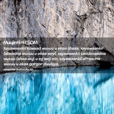 Picture 02 - Muujintii 4:7 SOM - Xayawaankii kowaad wuxuu u ekaa libaax, - Bible Verse Picture