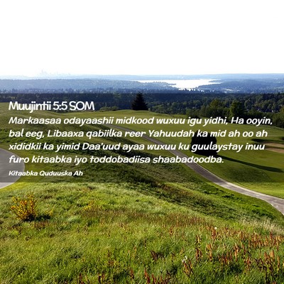 Picture 02 - Muujintii 5:5 SOM - Markaasaa odayaashii midkood wuxuu igu yidhi, Ha - Bible Verse Picture