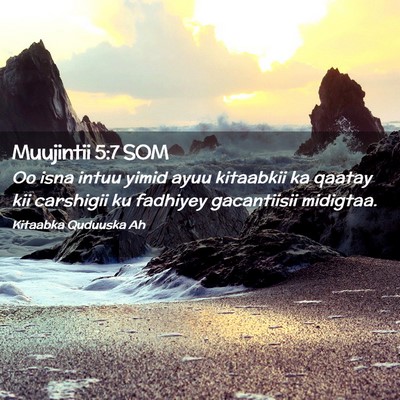Picture 02 - Muujintii 5:7 SOM - Oo isna intuu yimid ayuu kitaabkii ka qaatay kii - Bible Verse Picture