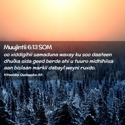 Picture 02 - Muujintii 6:13 SOM - oo xiddigihii samaduna waxay ku soo daateen - Bible Verse Picture