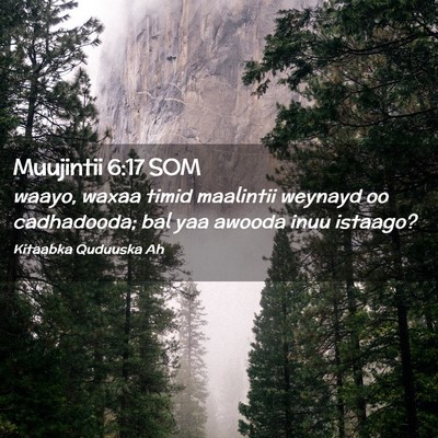 Picture 02 - Muujintii 6:17 SOM - waayo, waxaa timid maalintii weynayd oo - Bible Verse Picture