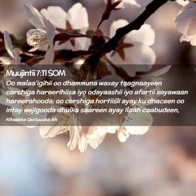 Picture 02 - Muujintii 7:11 SOM - Oo malaa'igihii oo dhammuna waxay taagnaayeen - Bible Verse Picture