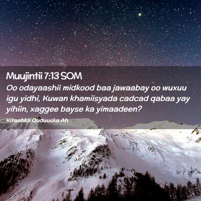 Picture 02 - Muujintii 7:13 SOM - Oo odayaashii midkood baa jawaabay oo wuxuu igu - Bible Verse Picture