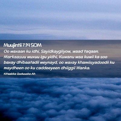 Picture 02 - Muujintii 7:14 SOM - Oo waxaan ku idhi, Sayidkaygiiyow, waad taqaan. - Bible Verse Picture