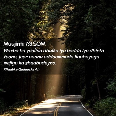 Picture 02 - Muujintii 7:3 SOM - Waxba ha yeelina dhulka iyo badda iyo dhirta - Bible Verse Picture