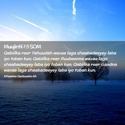 Picture 02 - Muujintii 7:5 SOM - Qabiilka reer Yahuudah waxaa laga shaabadeeyey - Bible Verse Picture