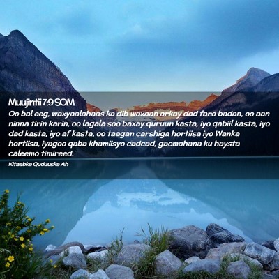 Picture 02 - Muujintii 7:9 SOM - Oo bal eeg, waxyaalahaas ka dib waxaan arkay dad - Bible Verse Picture