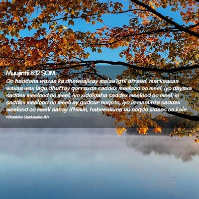 Picture 02 - Muujintii 8:12 SOM - Oo haddana waxaa ka dhawaajisay malaa'igtii - Bible Verse Picture