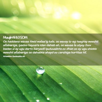 Picture 02 - Muujintii 8:3 SOM - Oo haddana waxaa timid malaa'ig kale, oo waxay - Bible Verse Picture