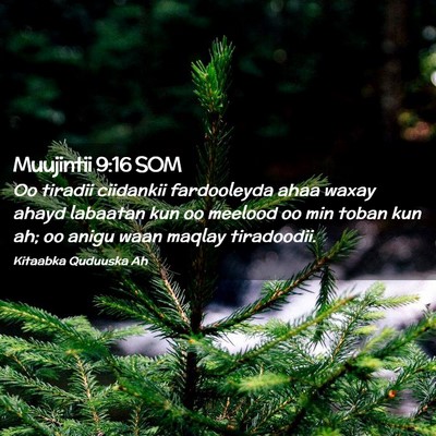 Picture 02 - Muujintii 9:16 SOM - Oo tiradii ciidankii fardooleyda ahaa waxay ahayd - Bible Verse Picture