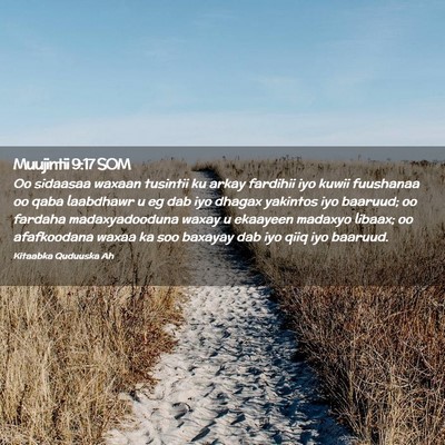 Picture 02 - Muujintii 9:17 SOM - Oo sidaasaa waxaan tusintii ku arkay fardihii iyo - Bible Verse Picture