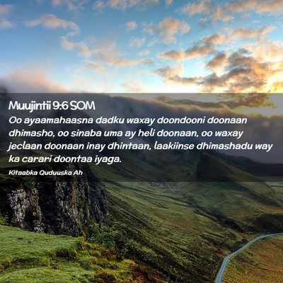 Picture 02 - Muujintii 9:6 SOM - Oo ayaamahaasna dadku waxay doondooni doonaan - Bible Verse Picture