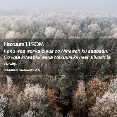Picture 02 - Naxuum 1:1 SOM - Kanu waa warka culus oo Nineweh ku saabsan. Oo - Bible Verse Picture