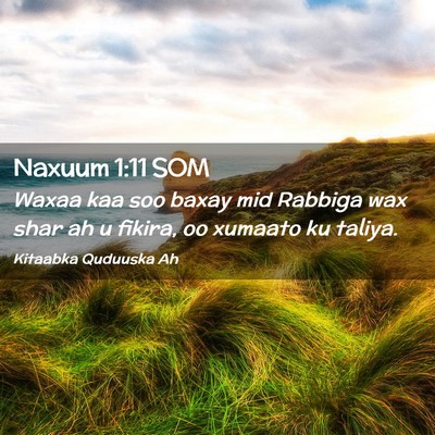 Picture 02 - Naxuum 1:11 SOM - Waxaa kaa soo baxay mid Rabbiga wax shar ah u - Bible Verse Picture