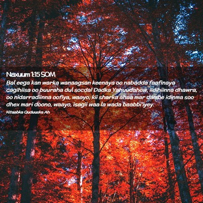Picture 02 - Naxuum 1:15 SOM - Bal eega kan warka wanaagsan keenaya oo nabadda - Bible Verse Picture