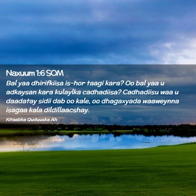 Picture 02 - Naxuum 1:6 SOM - Bal yaa dhirifkiisa is-hor taagi kara? Oo bal yaa - Bible Verse Picture
