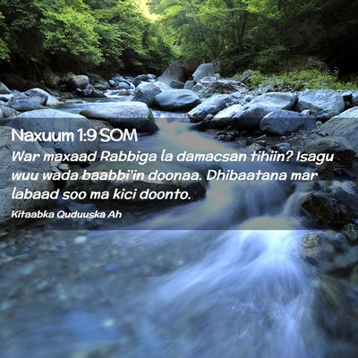 Picture 02 - Naxuum 1:9 SOM - War maxaad Rabbiga la damacsan tihiin? Isagu wuu - Bible Verse Picture
