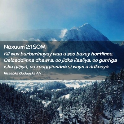 Picture 02 - Naxuum 2:1 SOM - Kii wax burburinayay waa u soo baxay hortiinna. - Bible Verse Picture