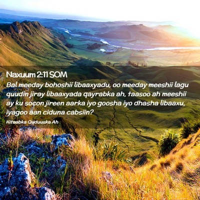 Picture 02 - Naxuum 2:11 SOM - Bal meeday bohoshii libaaxyadu, oo meeday meeshii - Bible Verse Picture