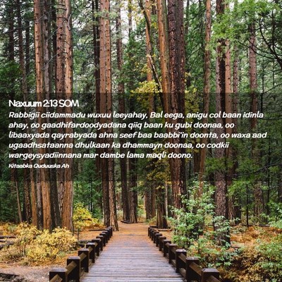 Picture 02 - Naxuum 2:13 SOM - Rabbigii ciidammadu wuxuu leeyahay, Bal eega, - Bible Verse Picture