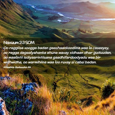 Picture 02 - Naxuum 2:3 SOM - Oo raggiisa xoogga badan gaashaankoodiina waa la - Bible Verse Picture