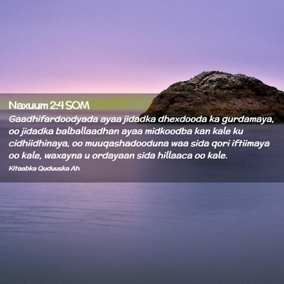 Picture 02 - Naxuum 2:4 SOM - Gaadhifardoodyada ayaa jidadka dhexdooda ka - Bible Verse Picture
