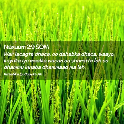 Picture 02 - Naxuum 2:9 SOM - War lacagta dhaca, oo dahabka dhaca, waayo, - Bible Verse Picture