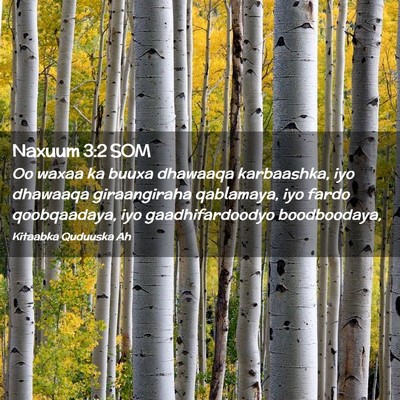 Picture 02 - Naxuum 3:2 SOM - Oo waxaa ka buuxa dhawaaqa karbaashka, iyo - Bible Verse Picture