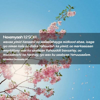 Picture 02 - Nexemyaah 1:2 SOM - waxaa yimid Xanaanii oo walaalahayga midkood - Bible Verse Picture