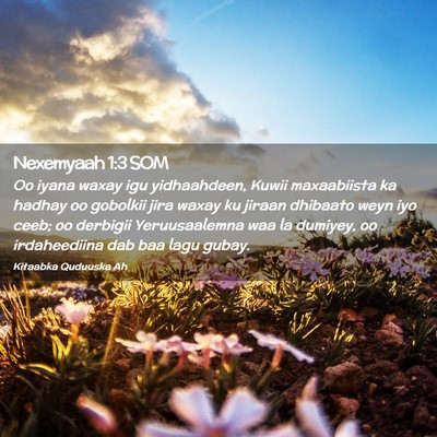 Picture 02 - Nexemyaah 1:3 SOM - Oo iyana waxay igu yidhaahdeen, Kuwii maxaabiista - Bible Verse Picture