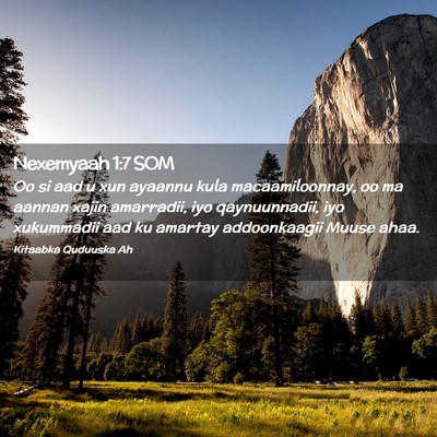Picture 02 - Nexemyaah 1:7 SOM - Oo si aad u xun ayaannu kula macaamiloonnay, oo - Bible Verse Picture