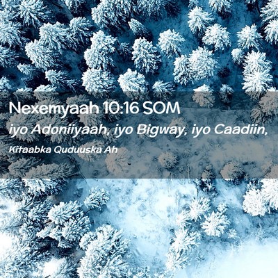 Picture 02 - Nexemyaah 10:16 SOM - iyo Adoniiyaah, iyo Bigway, iyo - Bible Verse Picture