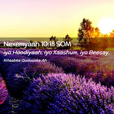 Picture 02 - Nexemyaah 10:18 SOM - iyo Hoodiyaah, iyo Xaashum, iyo - Bible Verse Picture