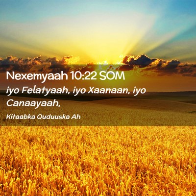 Picture 02 - Nexemyaah 10:22 SOM - iyo Felatyaah, iyo Xaanaan, iyo - Bible Verse Picture