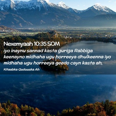 Picture 02 - Nexemyaah 10:35 SOM - iyo inaynu sannad kasta guriga Rabbiga keenayno - Bible Verse Picture